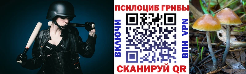 Галлюциногенные грибы Cubensis  купить закладку  Омутнинск 